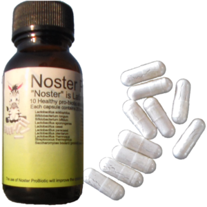 Noster ProBiotic Bottle and capsules