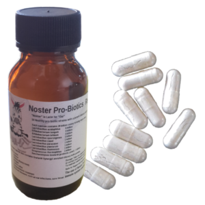 Noster ProBiotic Bottle and capsules, History of Noster Probiotics