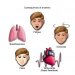 consequences of anaemia