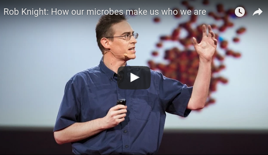 How our microbes make us who we are
