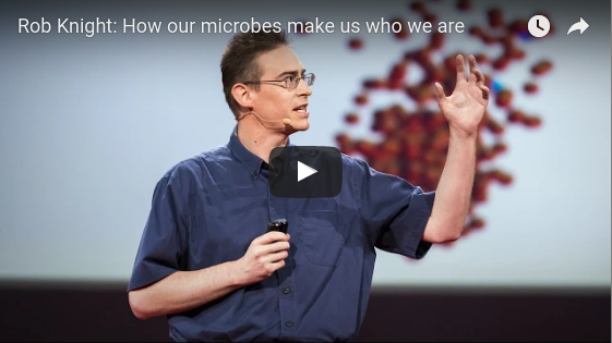 How our microbes make us who we are