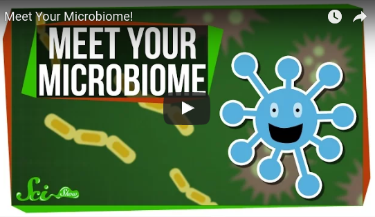 Meet your Microbiome