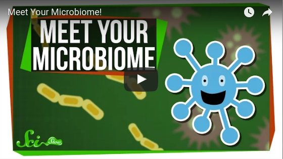 Noster ProBiotics - Meet your Microbiome