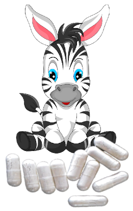 Click on the zebra