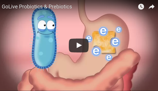 Noster ProBiotics - Probiotics and Prebiotics