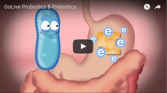 Noster ProBiotics - Probiotics and Prebiotics