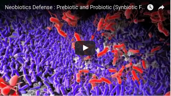 Noster ProBiotics - Prebiotic and Probiotic