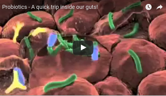 Probiotics - A quick trip inside our guts