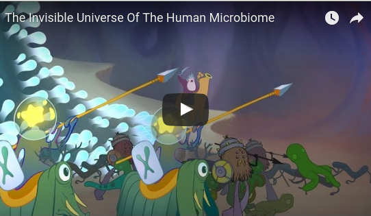 The Invisible Universe Of The Human Microbiome