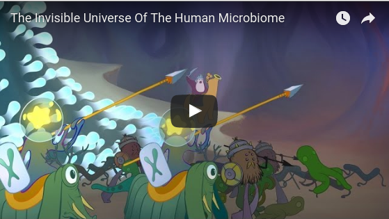 Noster ProBiotics - The Invisible Universe Of The Human Microbiome