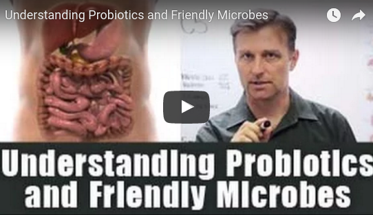 Understanding Probiotics and Friendly Microbes