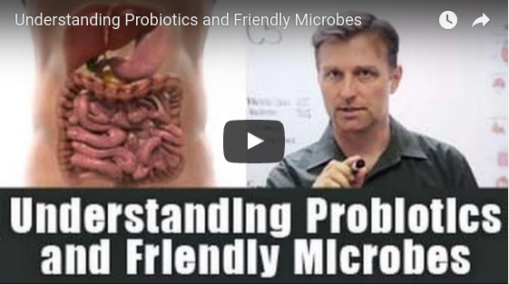 Noster ProBiotics - Understanding Probiotics and Friendly Microbes