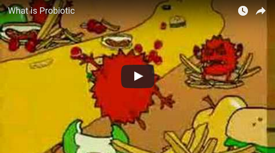 Noster ProBiotics - What is a Probiotic