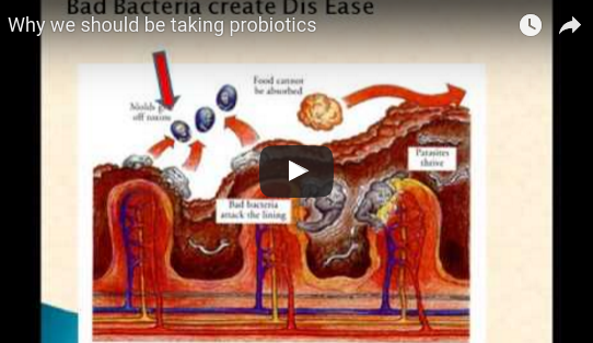 Why we should be taking probiotics Dr Gerald Lewis, Cardiologist