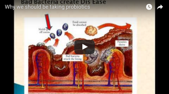 Noster ProBiotics - Why we should be taking probiotics