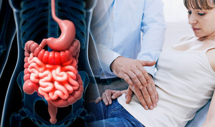 IBS - Irritable Bowel Syndrome - Three different types of IBS