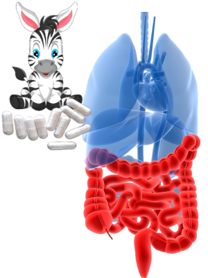 IBS (Irritable Bowel Syndrome) Treatment with a probiotic