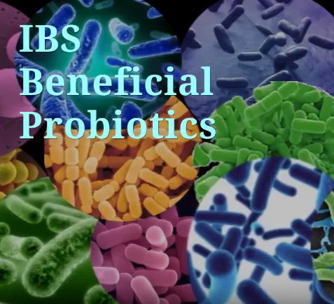 6 - IBS Beneficial probiotics