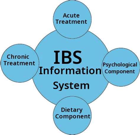 IBS - Information Systems