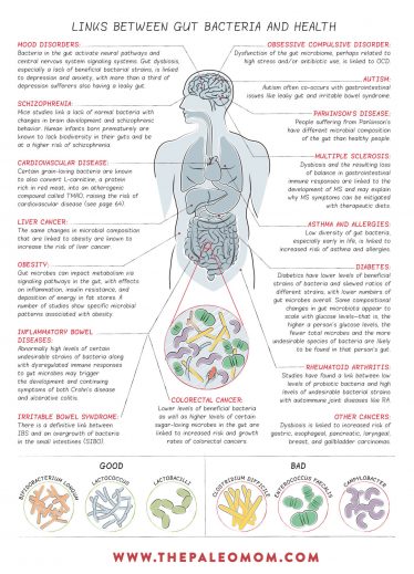 Link between gut bacteria and health