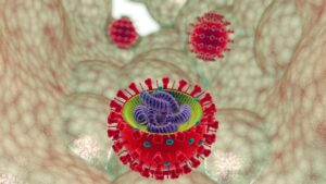 What is the coronavirus - SARS-CoV-2
