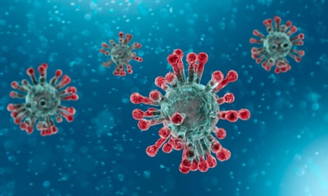 What is the coronavirus, SARS-Cov-2
