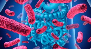 noster probiotics - gut health Benefits of Live Probiotics