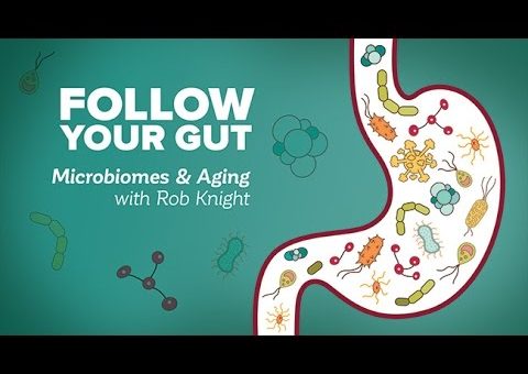 Follow Your Gut: Microbiomes and Ageing with Rob Knight