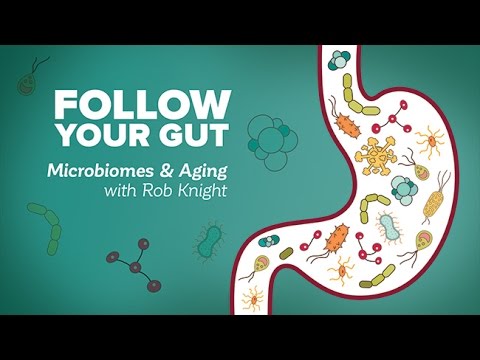 Follow Your Gut - Microbiomes and Ageing with Rob Knight
