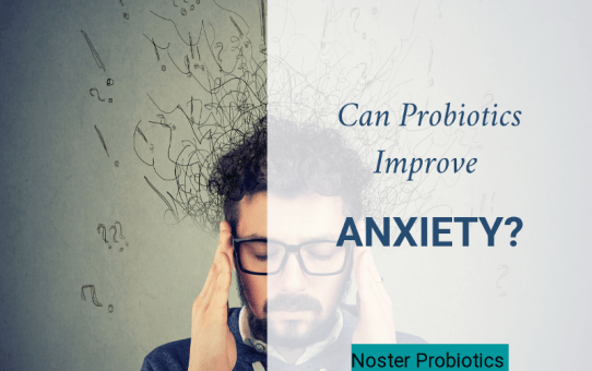 Probiotics And Anxiety